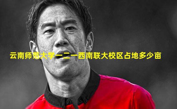 云南师范大学一二一西南联大校区占地多少亩