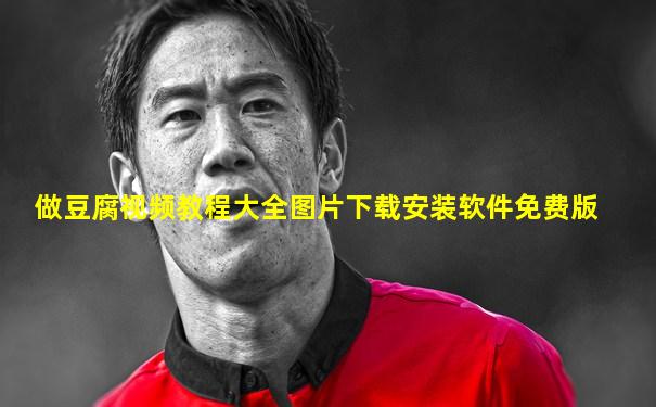 做豆腐视频教程大全图片下载安装软件免费版