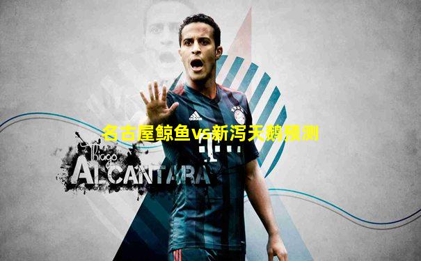 名古屋鲸鱼vs新泻天鹅预测