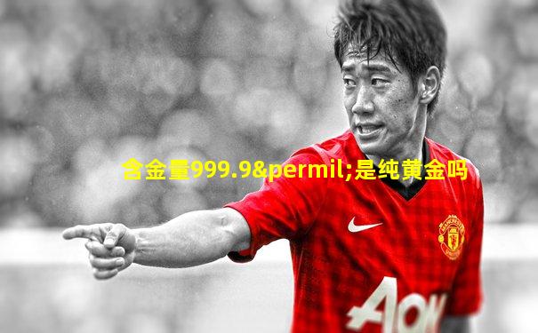 含金量999.9‰是纯黄金吗