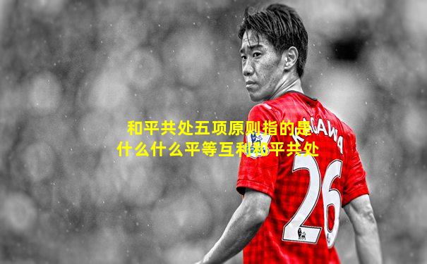 和平共处五项原则指的是什么什么平等互利和平共处