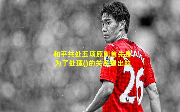 和平共处五项原则首先是为了处理()的关系提出的