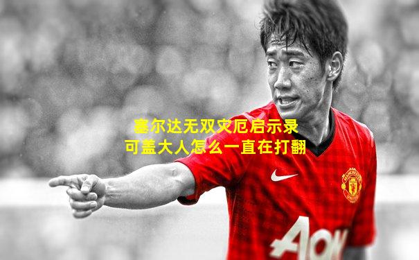 塞尔达无双灾厄启示录可盖大人怎么一直在打翻