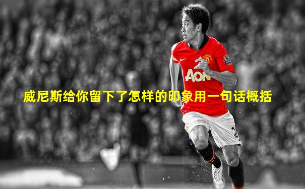威尼斯给你留下了怎样的印象用一句话概括