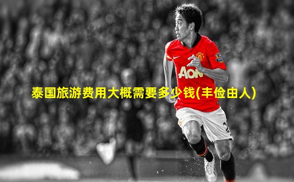 泰国旅游费用大概需要多少钱(丰俭由人)