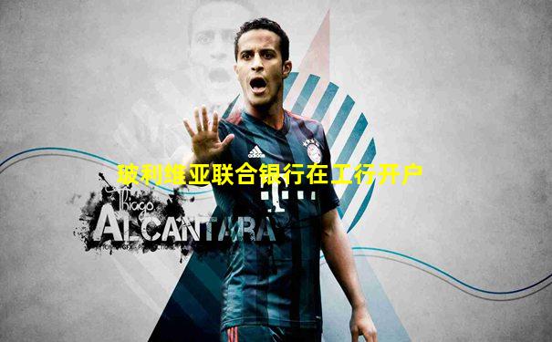 玻利维亚联合银行在工行开户