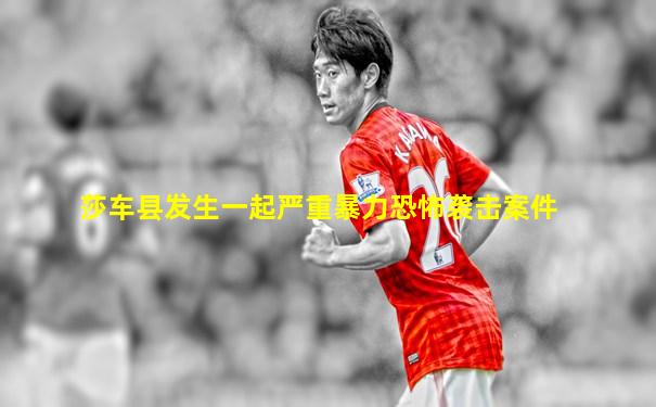 莎车县发生一起严重暴力恐怖袭击案件