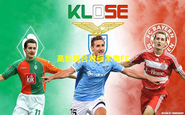 高知联合对枥木市FC