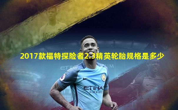 2017款福特探险者2.3精英轮胎规格是多少