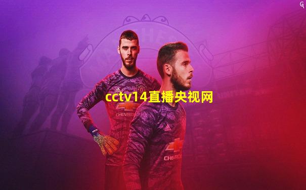 cctv14直播央视网