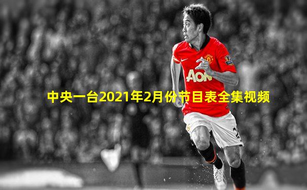 中央一台2021年2月份节目表全集视频