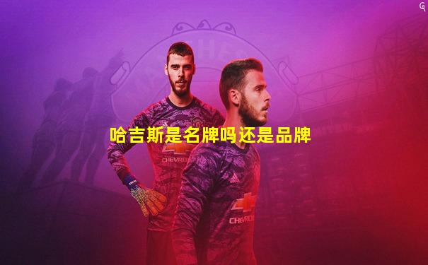 哈吉斯是名牌吗还是品牌