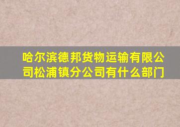 哈尔滨德邦货物运输有限公司松浦镇分公司有什么部门