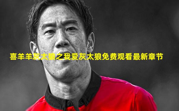喜羊羊灰太狼之我爱灰太狼免费观看最新章节