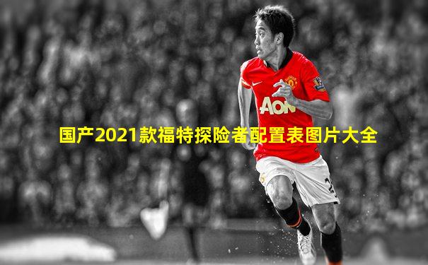国产2021款福特探险者配置表图片大全