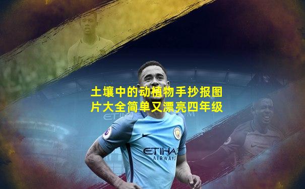 土壤中的动植物手抄报图片大全简单又漂亮四年级