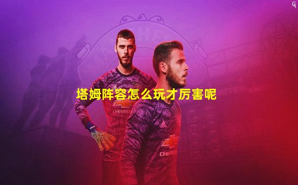塔姆阵容怎么玩才厉害呢