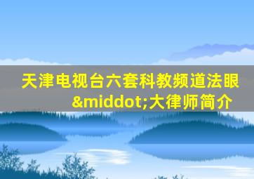 天津电视台六套科教频道法眼·大律师简介
