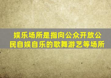 娱乐场所是指向公众开放公民自娱自乐的歌舞游艺等场所