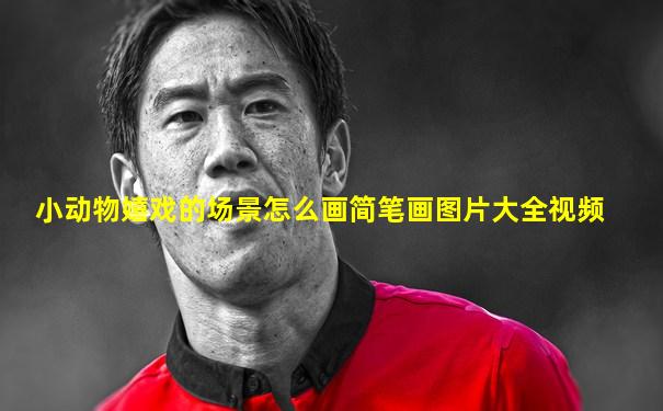 小动物嬉戏的场景怎么画简笔画图片大全视频