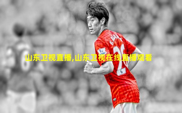 山东卫视直播,山东卫视在线直播观看
