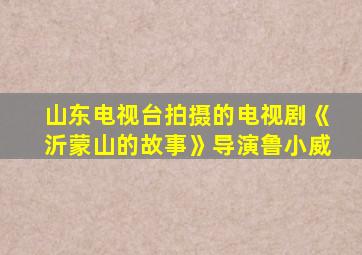 山东电视台拍摄的电视剧《沂蒙山的故事》导演鲁小威