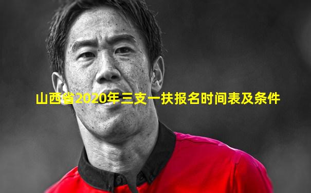 山西省2020年三支一扶报名时间表及条件
