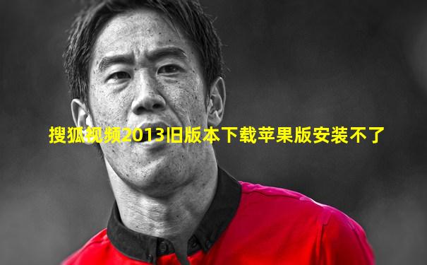 搜狐视频2013旧版本下载苹果版安装不了