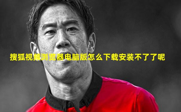 搜狐视频浏览器电脑版怎么下载安装不了了呢