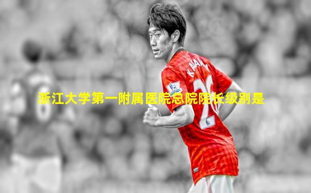 浙江大学第一附属医院总院院长级别是
