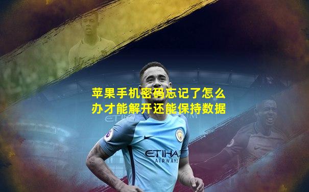 苹果手机密码忘记了怎么办才能解开还能保持数据