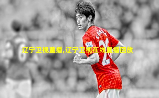 辽宁卫视直播,辽宁卫视在线直播回放
