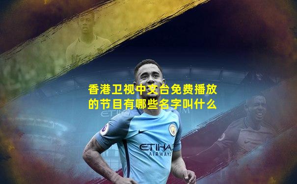 香港卫视中文台免费播放的节目有哪些名字叫什么